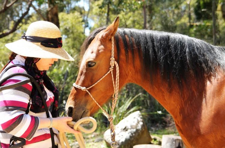 In the Company of Horses