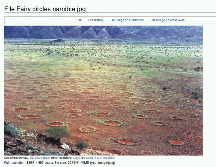 Fairy Circles Mystery Solved in SW Africa, Study Claims