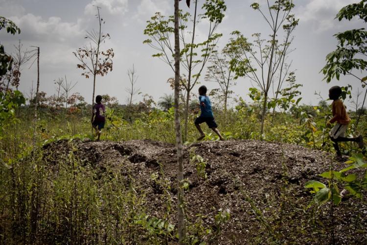 African Farmers Struggle as Swedish Investment Pulled