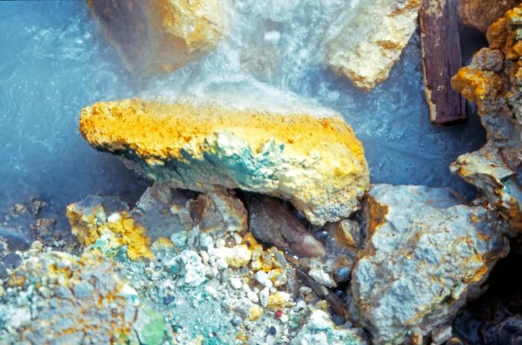 How to Thrive in Battery Acid and Among Toxic Metals