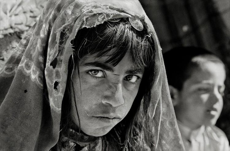 War and its Impact on the Lives of 11 Women