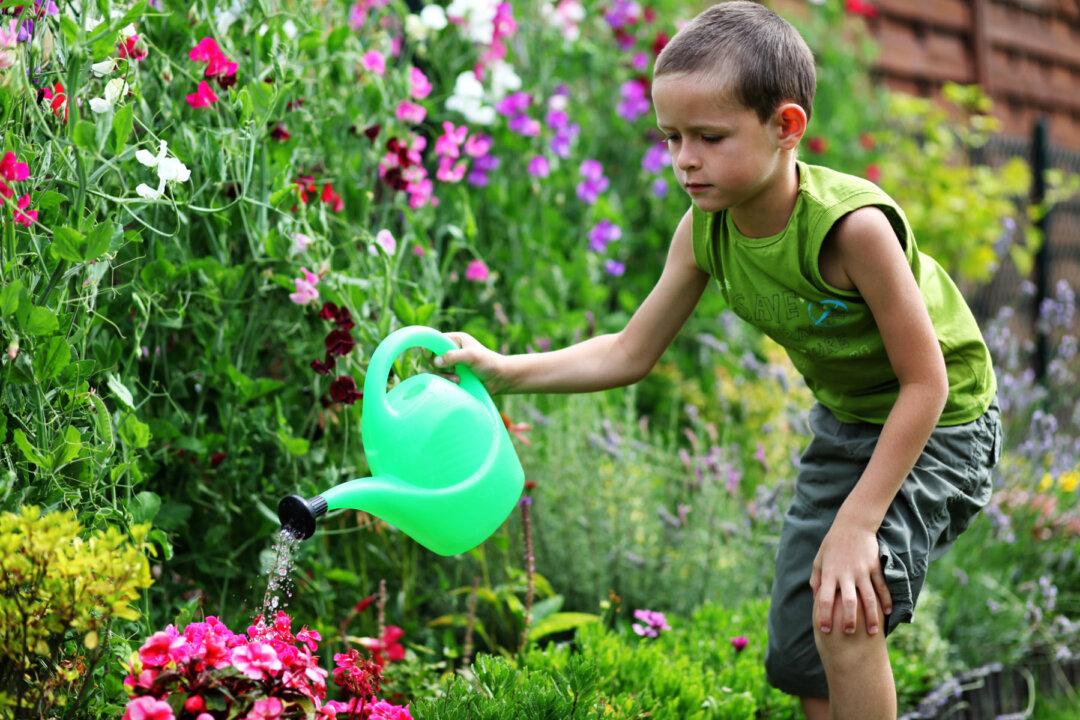 Four Gardens to Grow With Your Kids