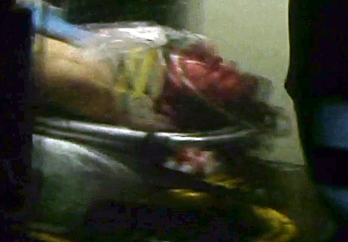Boston Bomber Arrest Photo: New Ambulance Image of Suspect