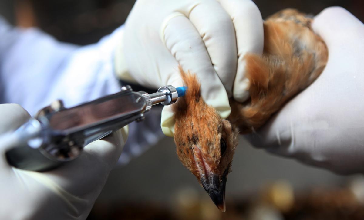 Experts Doubt China’s New Flu Drug