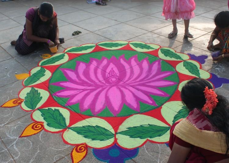 Reminiscent Tales of Indian Lotus Flower