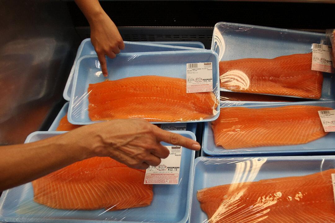 Superfish: FDA Reviews First GE Animal for Human Consumption