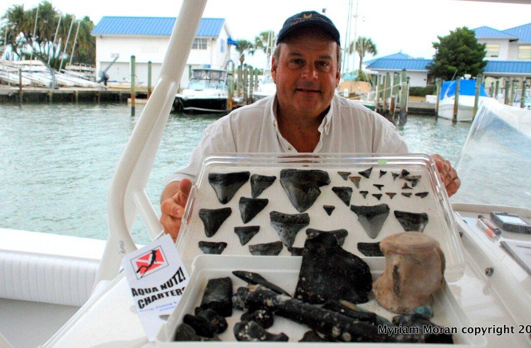 Venice, Florida: Shark’s Tooth Capital of the World