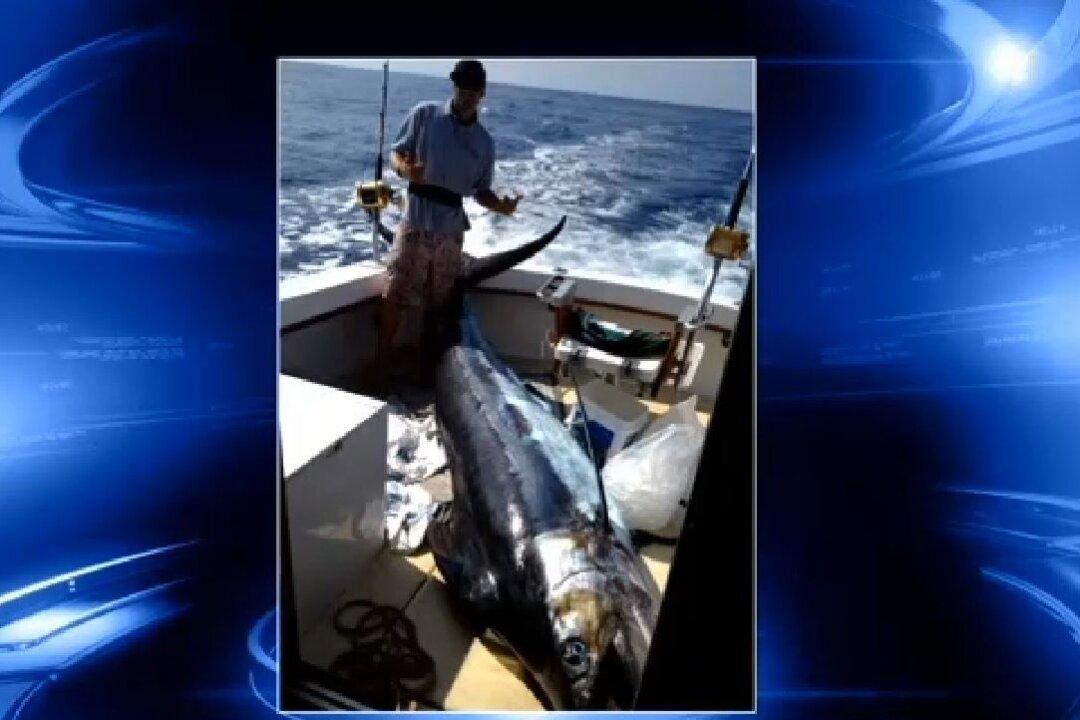 Make-A-Wish Teen Catches 759-Pound Marlin in Hawaii (+Photo)