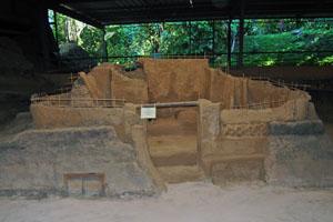 Buried Mayan Village Yields New Insights Into Ancient Agriculture