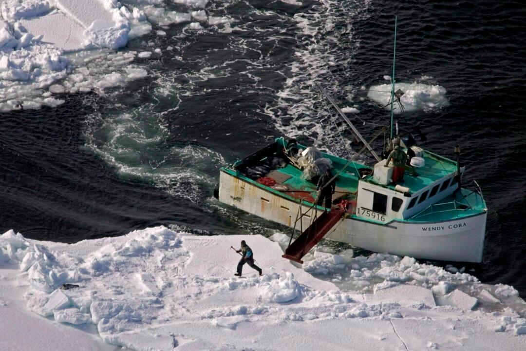 European Union Seal Product Ban Clobbers Traditional Scottish Business