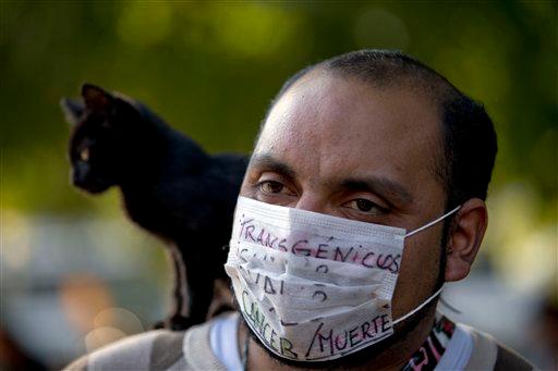 Monsanto: EU GM Crop Plans Dropped