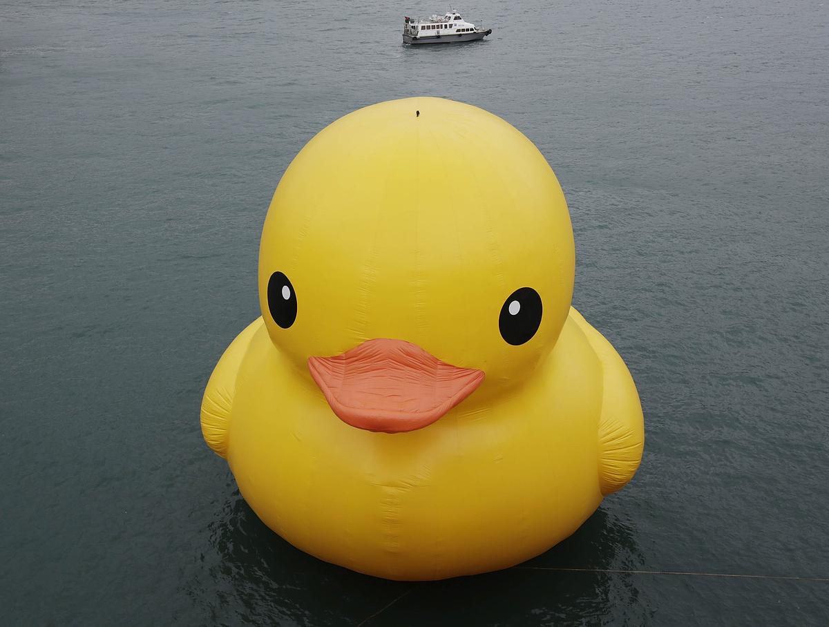 Giant Rubber Duck Makes Waves in Hong Kong (+Photos)