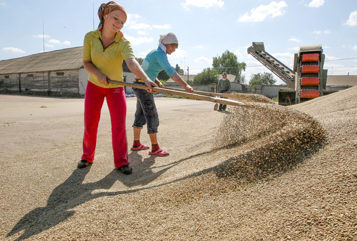 Fertile Land, No Market Access