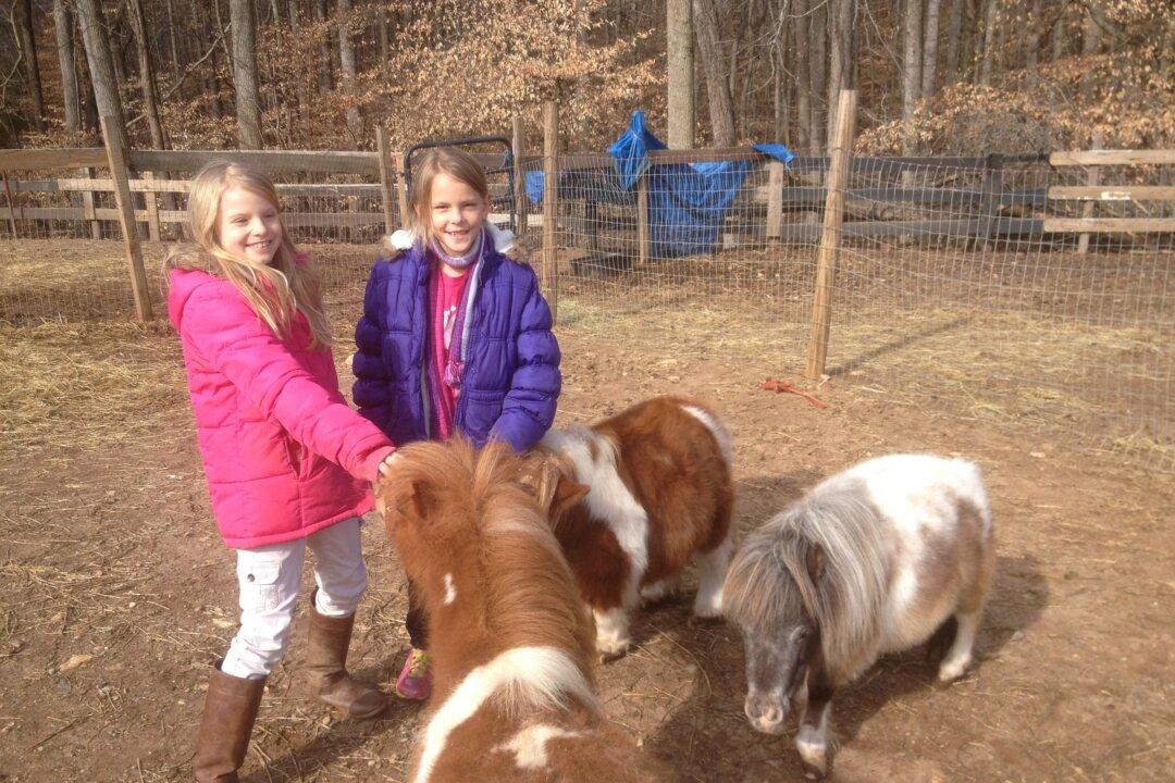 Horse Therapy for Troubled Children