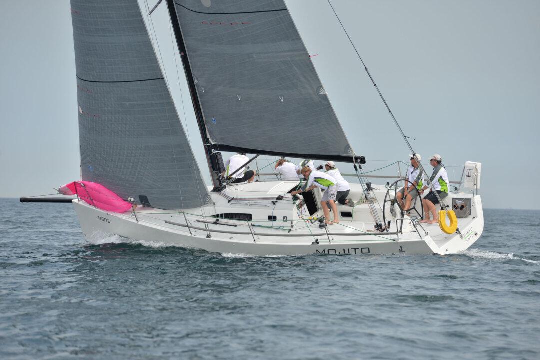 ‘Mojito’ and ‘Bits & Pieces’ Victorious in Spring Series