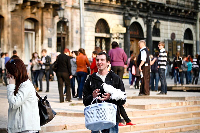 City in Focus: Lviv, Cultural Capital of Ukraine