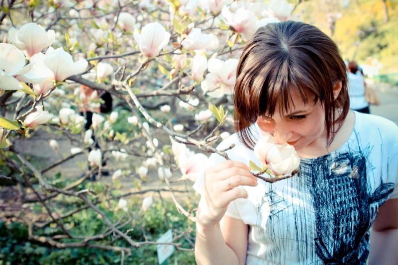 Magnolias in Kyiv (Photos)