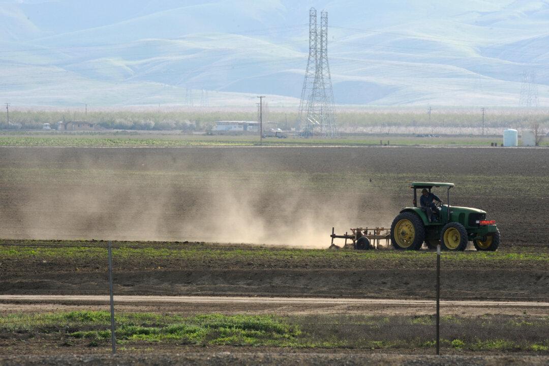 Spikes in Incurable Valley Fever Linked to Mega Drought