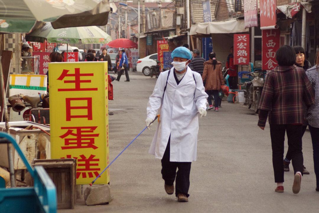 H7N9 Bird Flu Spreads by Direct Contact in Mammals