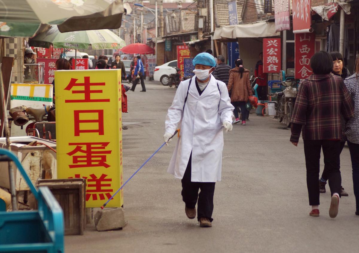 H7N9 Bird Flu Spreads by Direct Contact in Mammals