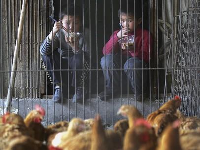 1 Child Dead, Over 60 Infected With H1N1 Flu in South China