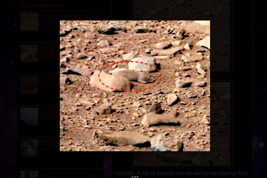 Mars Rat: Website Claims Rodent on Red Planet
