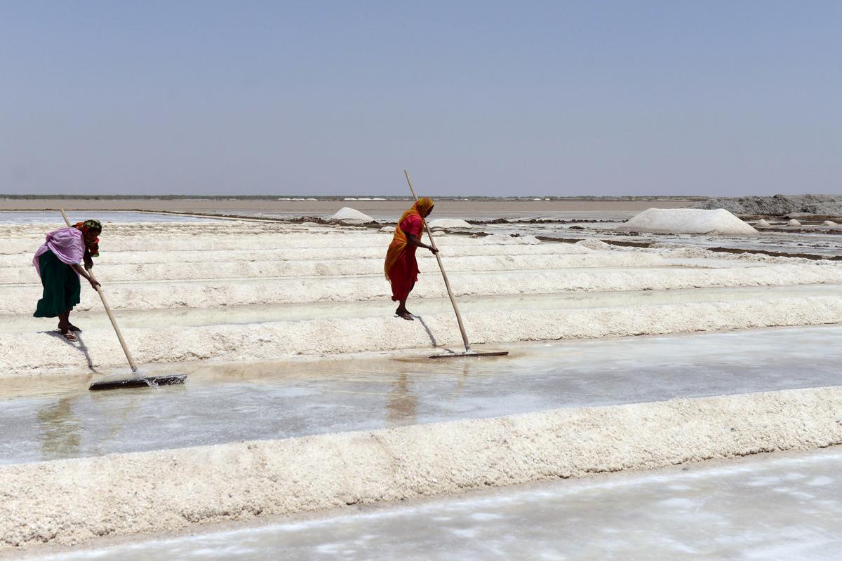 Rain Spoils Salt Fields in India’s West