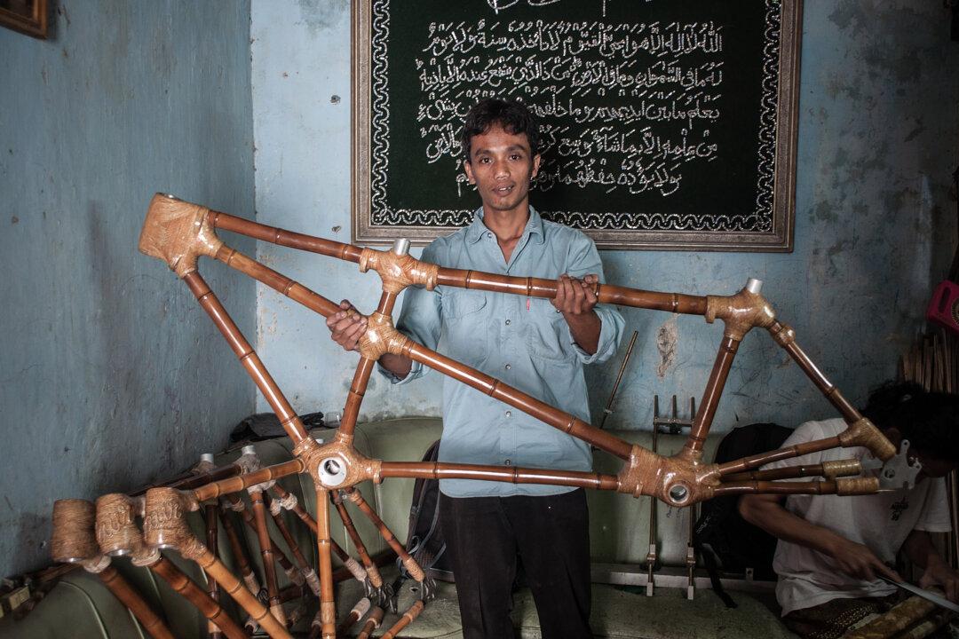 Photo Gallery: Bamboo Bike