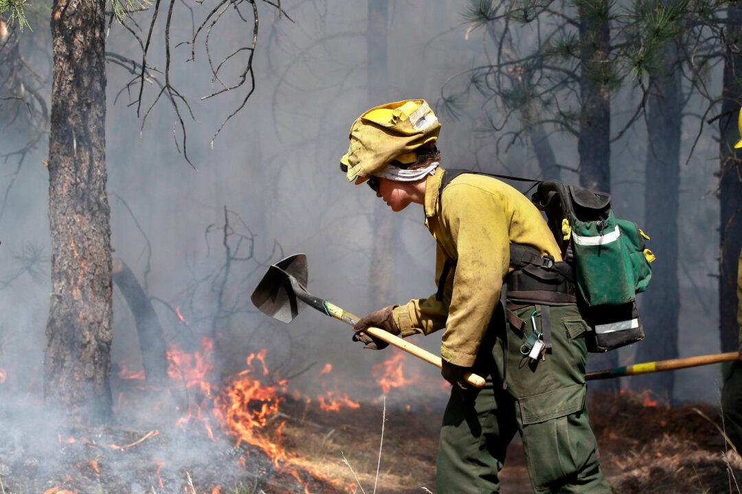 California Plans to Sue Federal Government for ‘Dismantling of AmeriCorps’