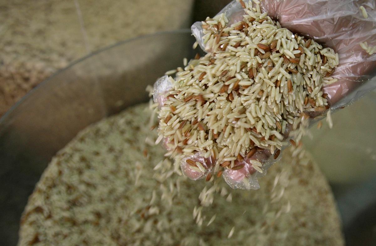 Study Finds High Levels of Arsenic in Brazilian Rice