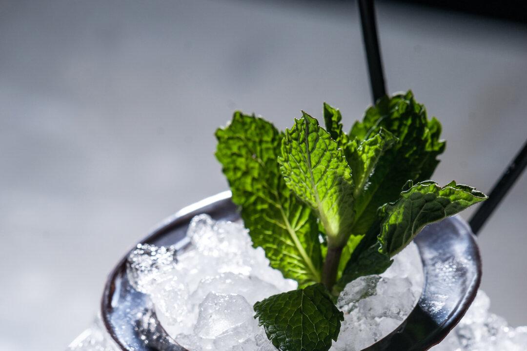 The Butterfly, Michael White’s New Tribeca Restaurant