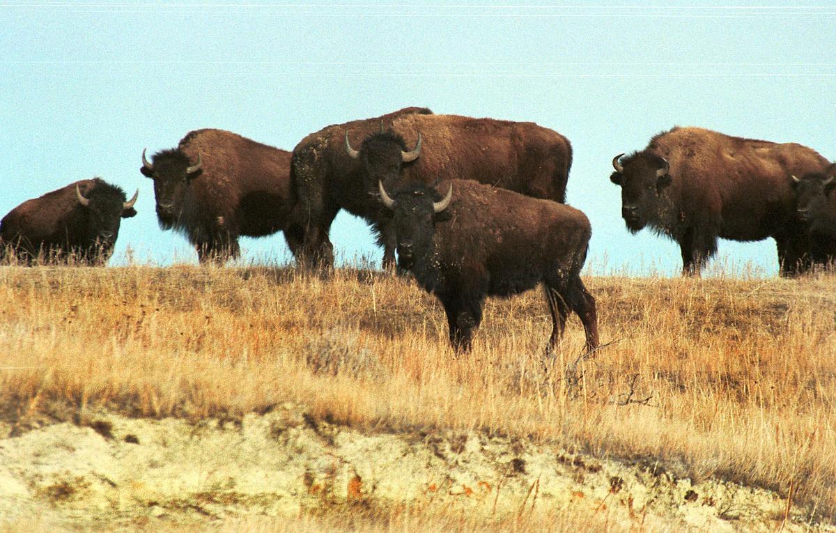 Fracking Our National Parks