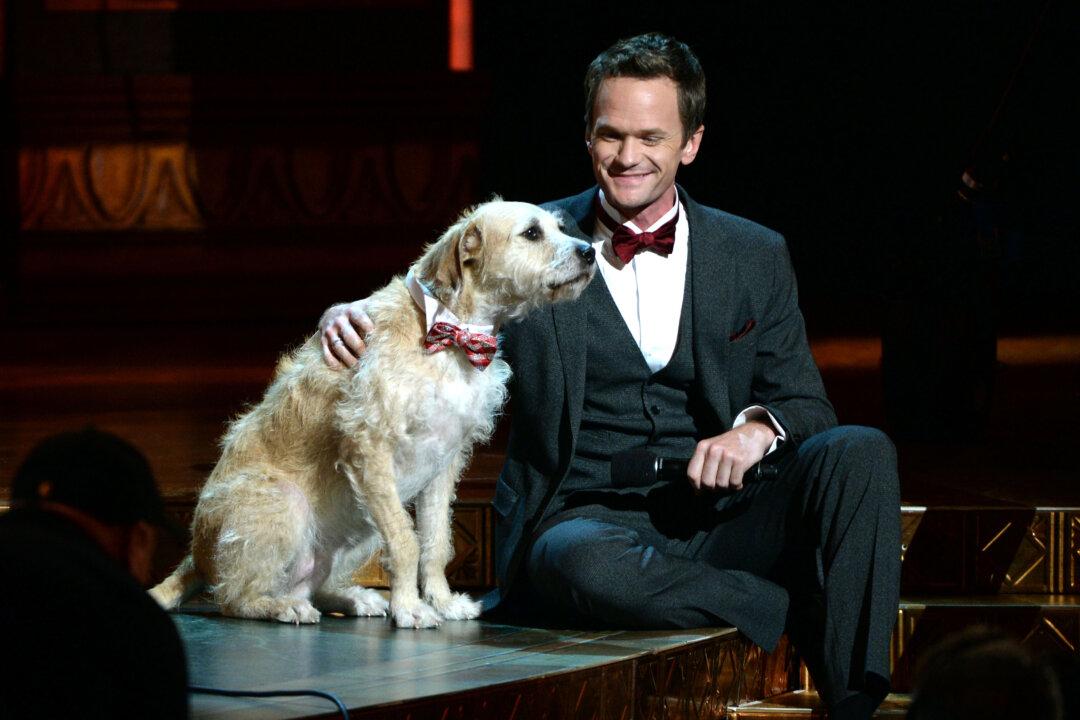 Tony Awards Photo Gallery, Winners