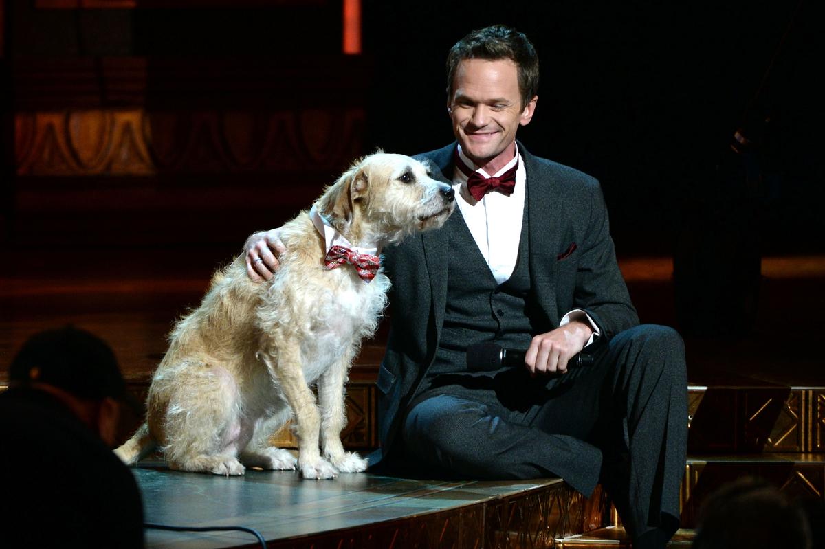 Tony Awards Photo Gallery, Winners