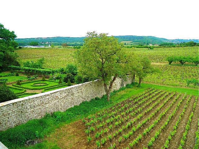 Different Shades of Burgundy