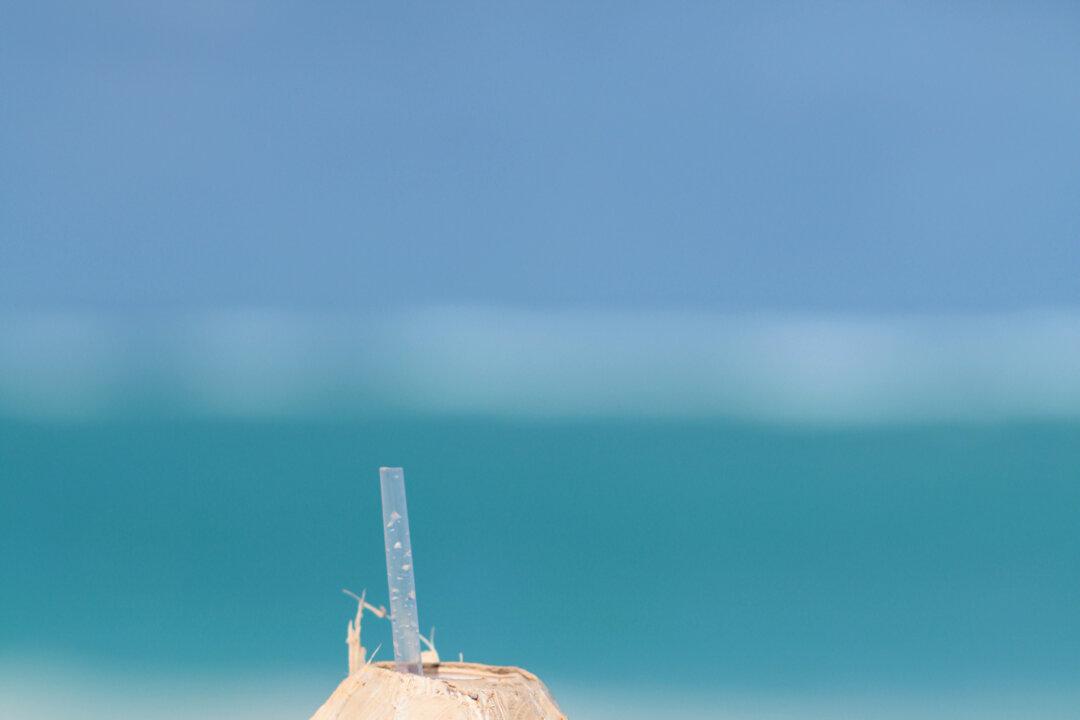 8 Reasons to Add Coconut to Your Diet