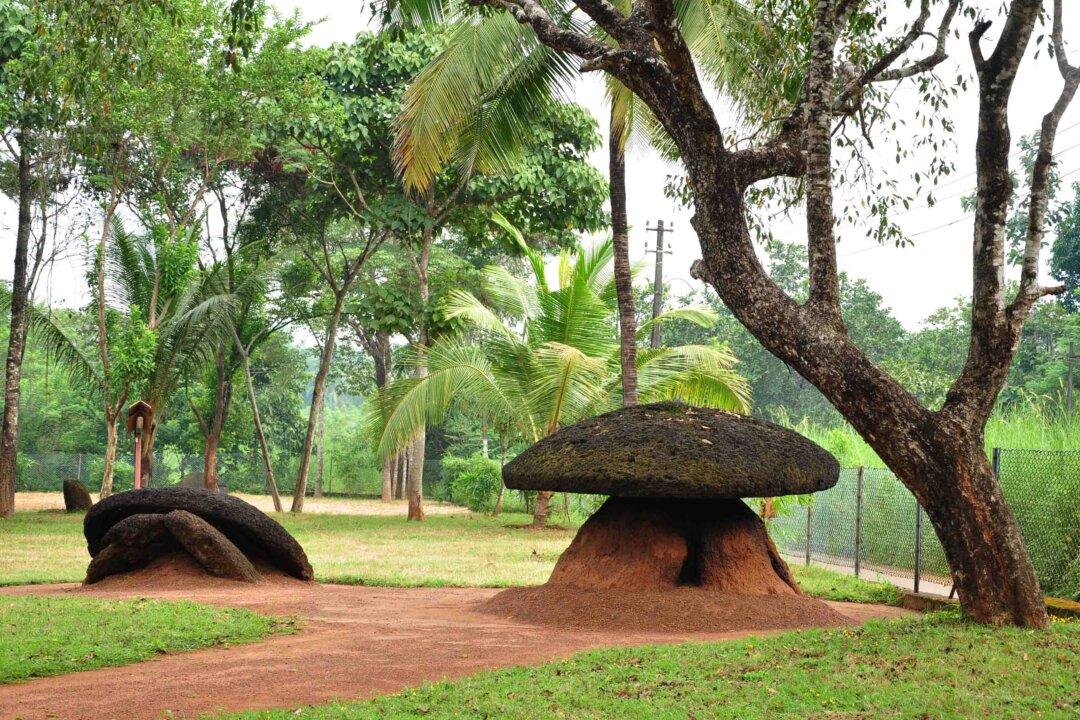 Megalithic Umbrella Stone Burial Site in India (Photos)