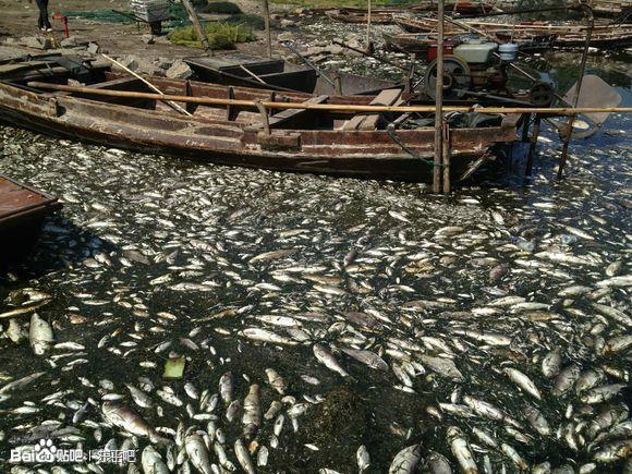 Water Transfer Project Brings Pollution to Northern China