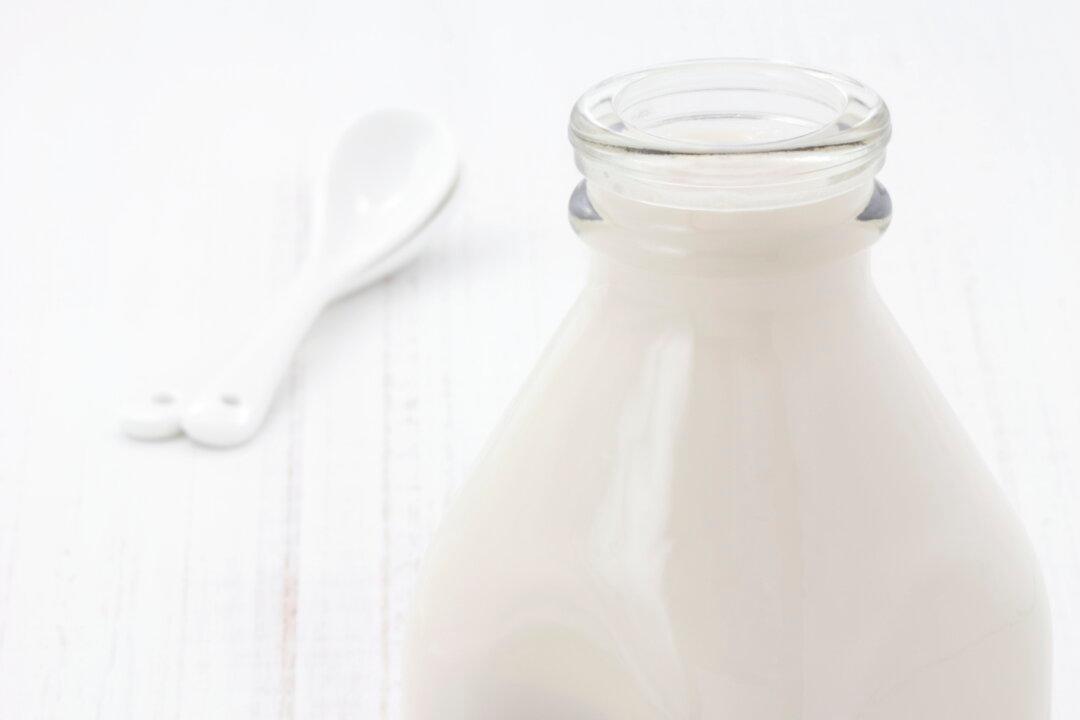 Which Probiotics Are Right for You?