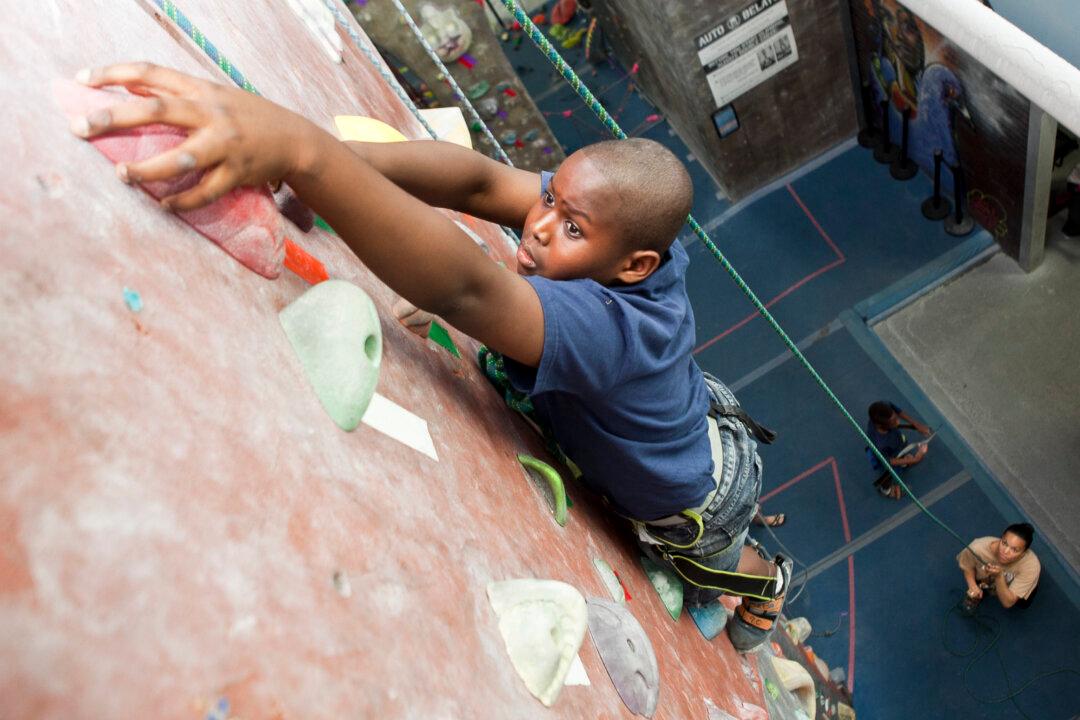 Rock Climbing and Learning Trust at Brooklyn Boulders