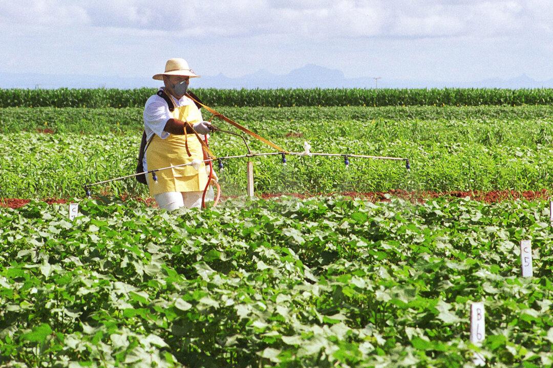GMOs, A Global Debate: Brazil, Second Largest GMO Producer in World
