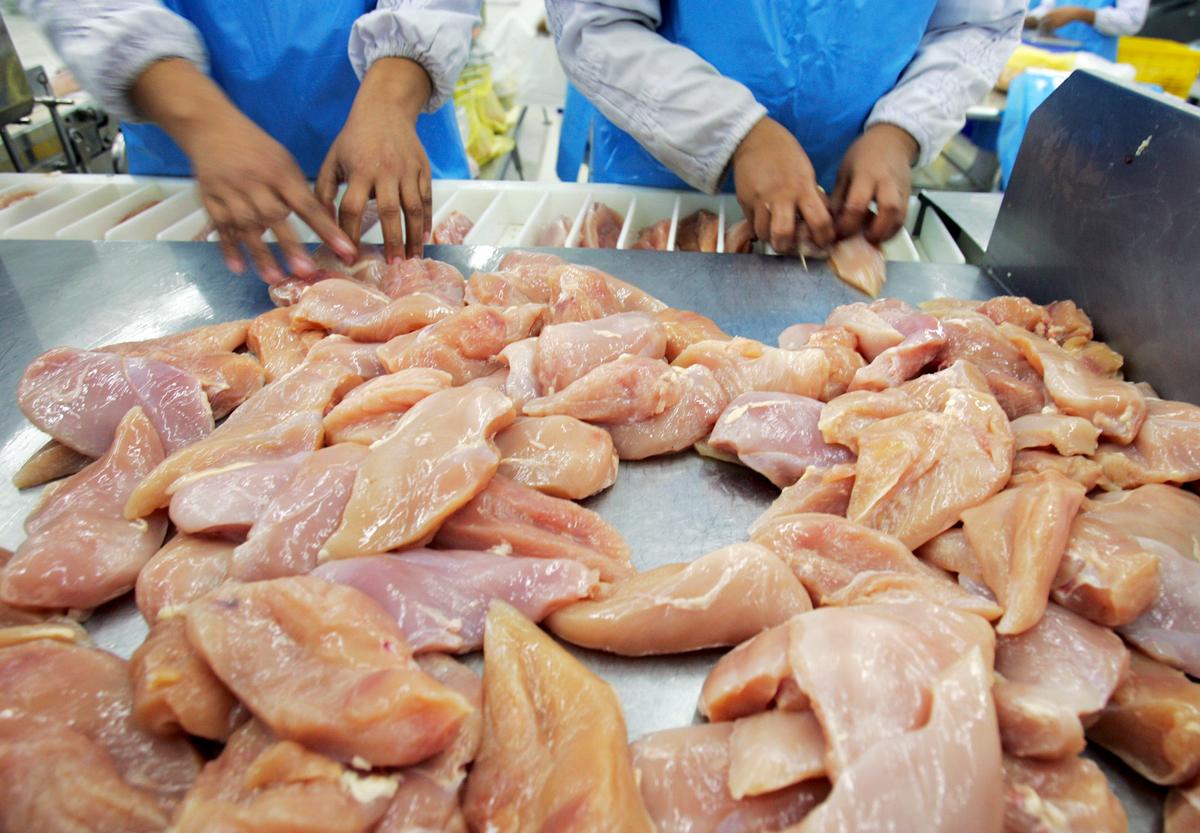 Why Aren’t Chicken Meat Prices Rising Like Egg Prices?
