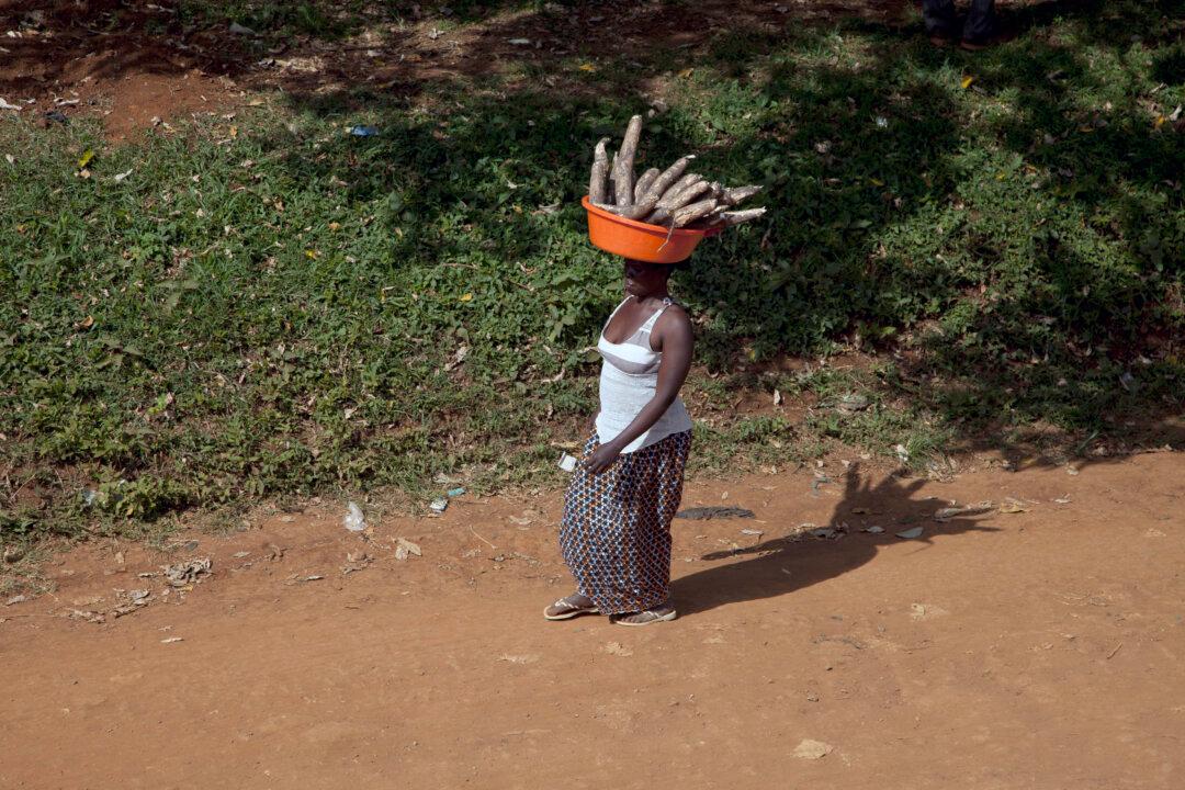 GMOs in Kenya: Facts At a Glance