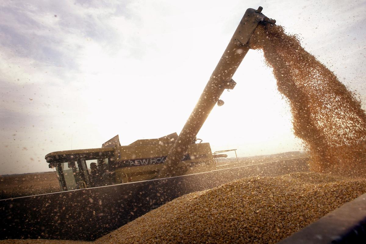 GMOs, A Global Debate: US Leads in GMO Production