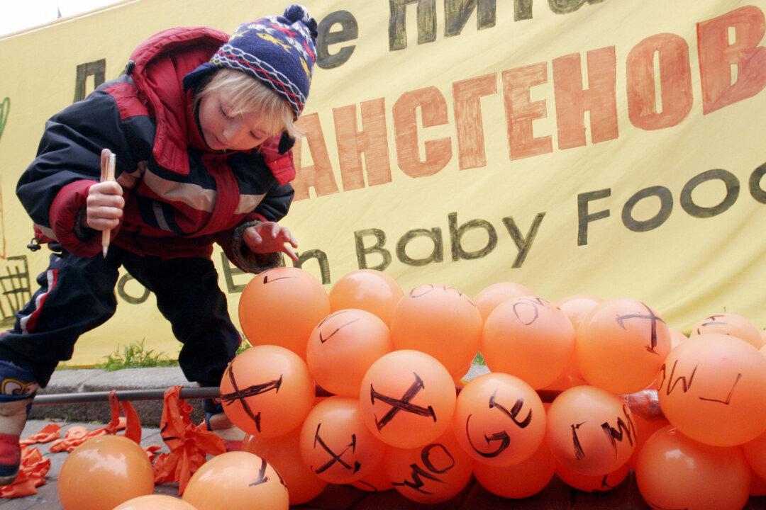 GMOs, a Global Debate: Russia’s Regulations Not Enforced