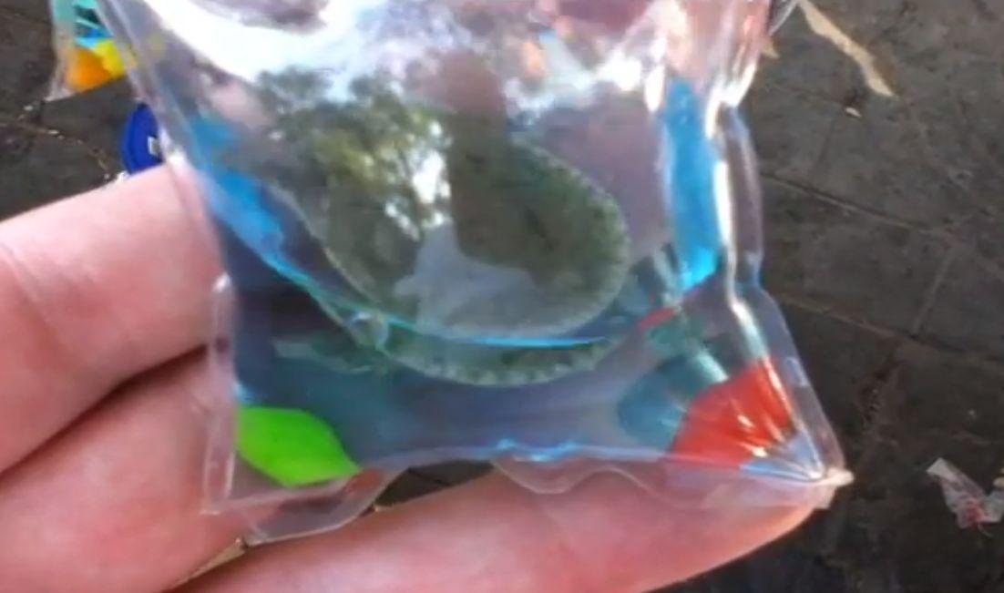 Live Animal Keychains Sold in China Should End, Petition Says (+Video)