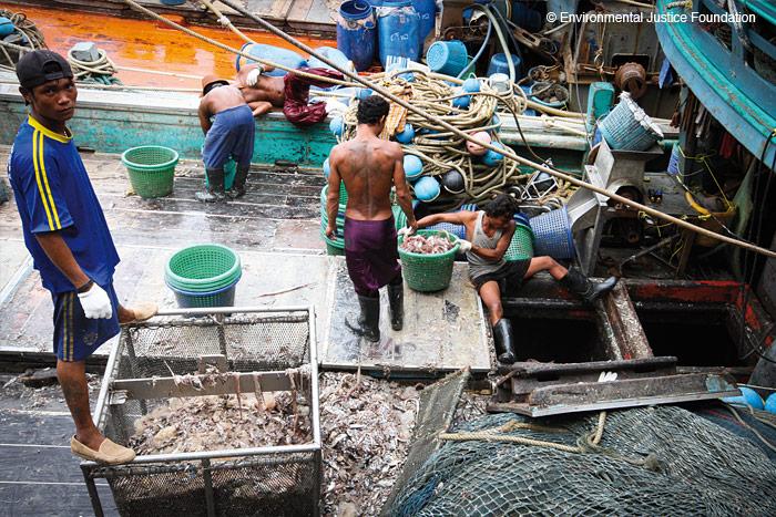 Pirate Fishing a Threat to the World’s Fisheries