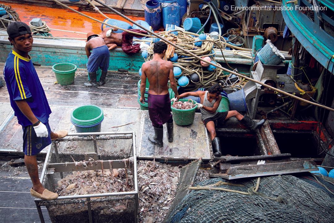 The Threat of Pirate Fishing to the World’s Fisheries