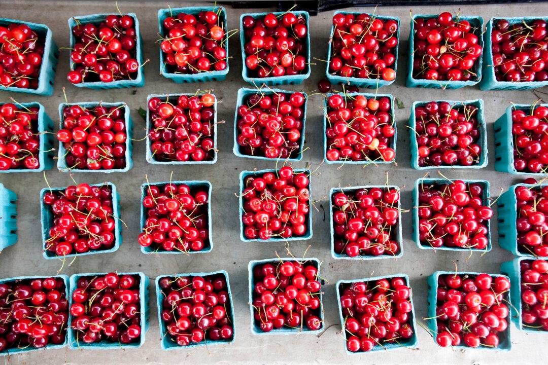 Cherries: The Ruby Fruit With Illustrious Beginnings