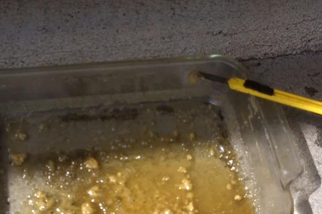 ‘Ear Wax’ Marijuana: High Concentration of THC Worries Officials